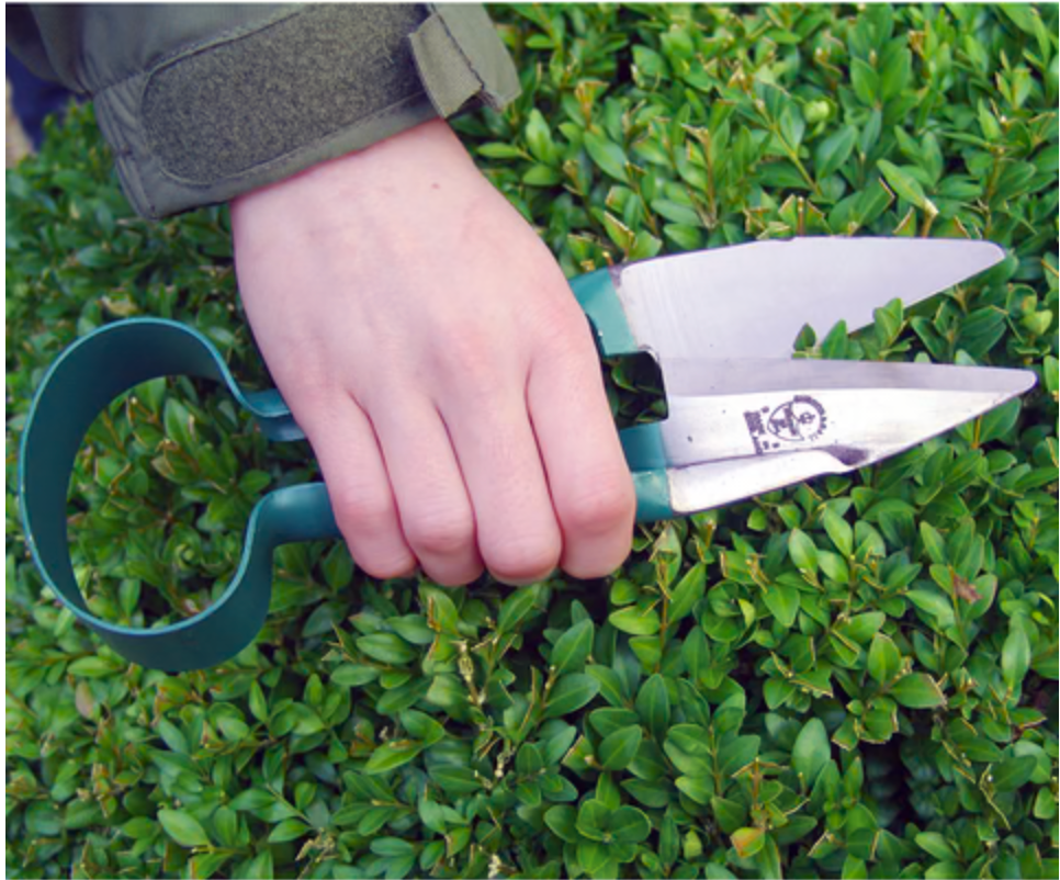 BB Buksbomsaks - liten beskjæringssaks