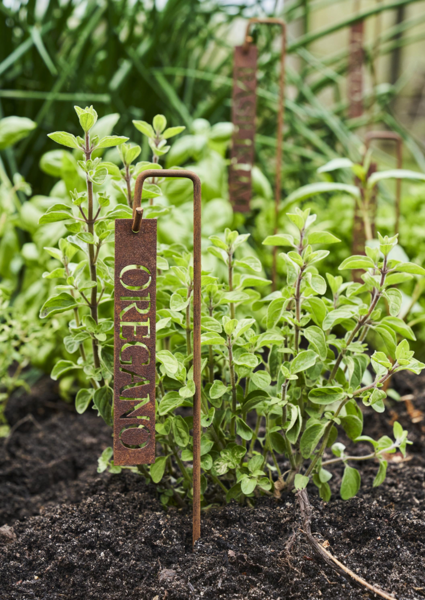 Plantepinne – Gressløk