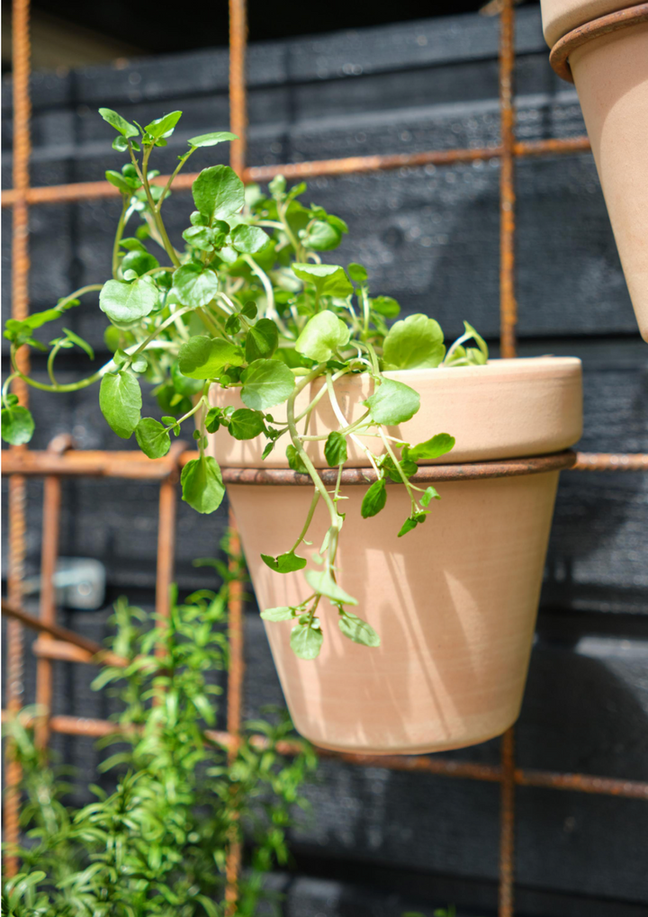 S-Krok til armeringsnett