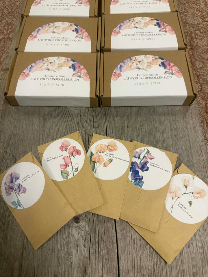 Limited Edition – Lathyrus Frøkolleksjon