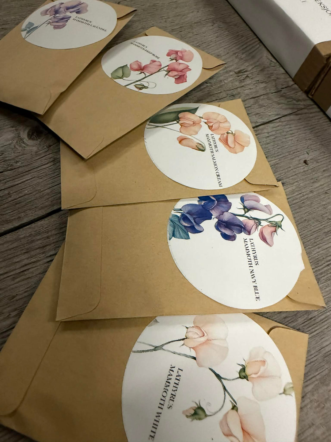 Limited Edition – Lathyrus Frøkolleksjon