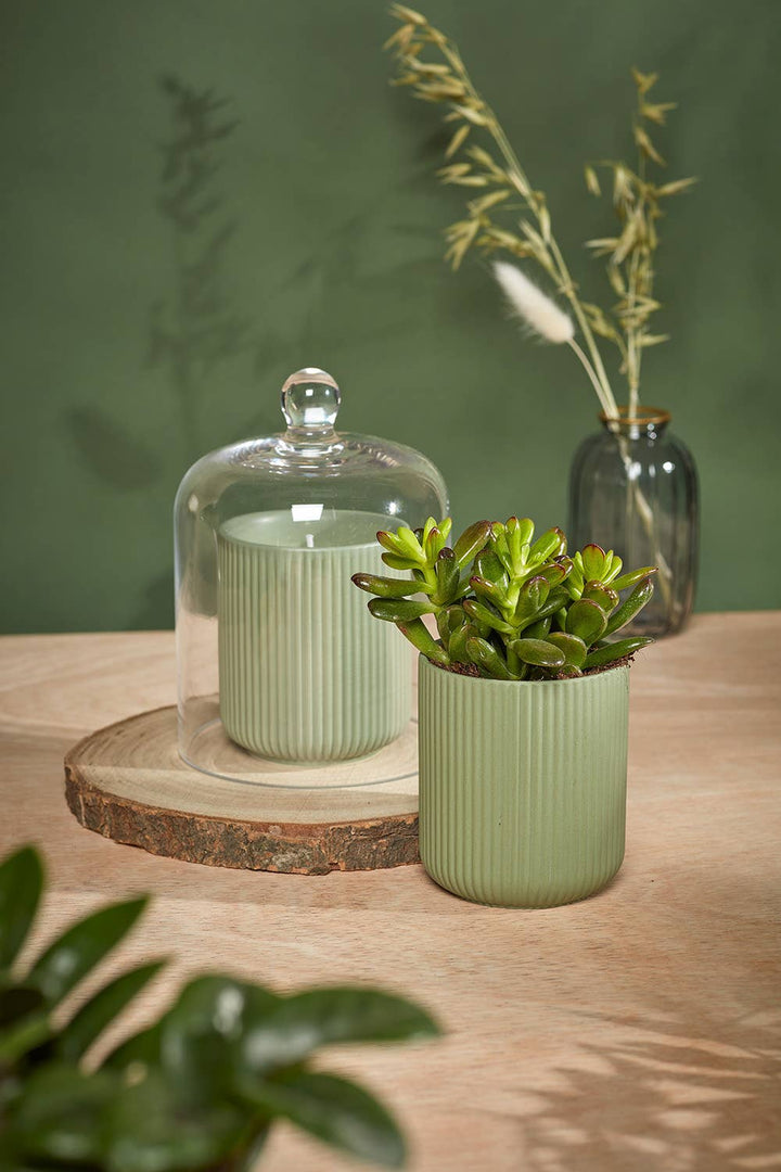 Urban Gardener – Glassklokke