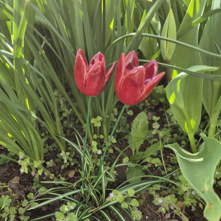 Keramisk Tulipan