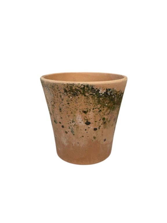 CAROLA – Patina - Ø 26 cm