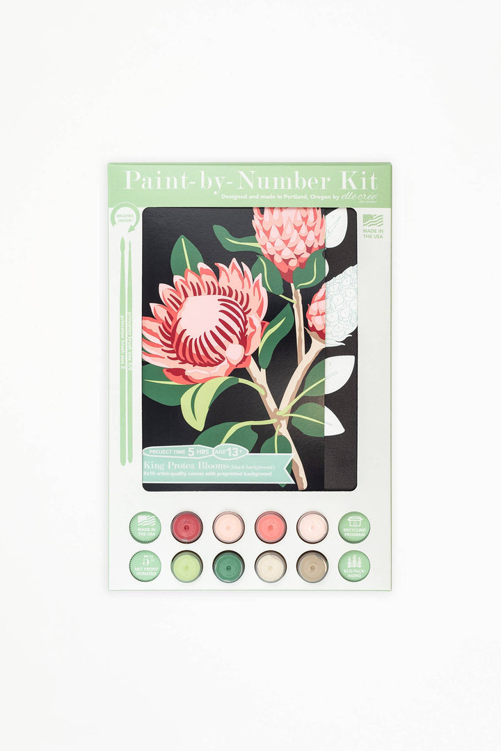 King Protea Blooms – Paint by Numbers