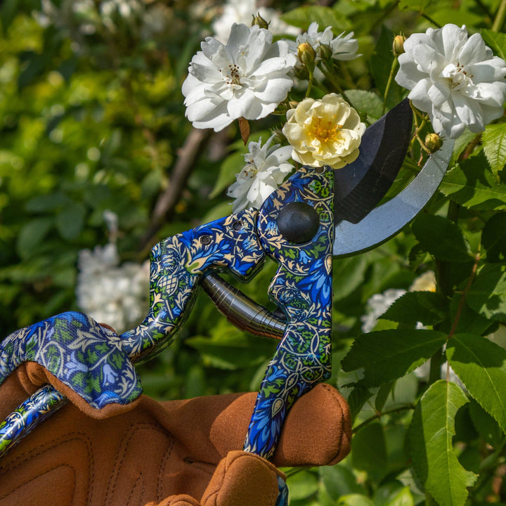 Beskjæringssaks – William Morris Snakeshead