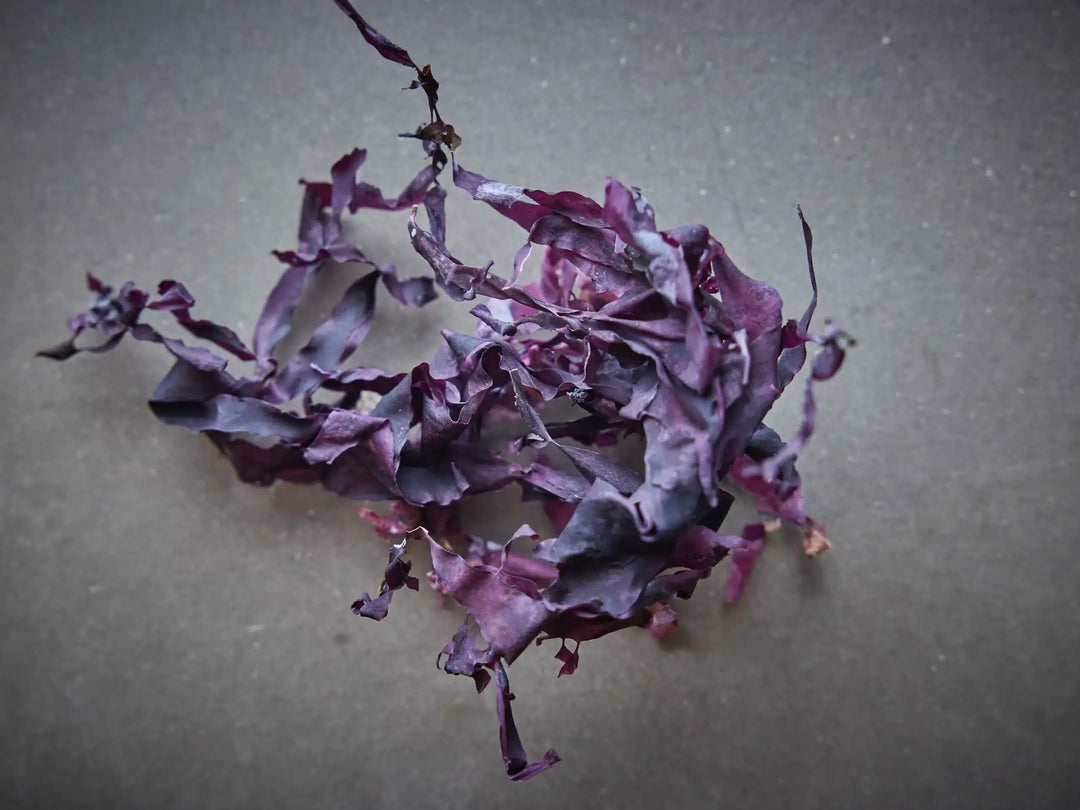 Økologisk Tørket Dulse – Lofoten