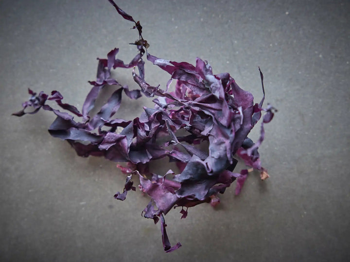 Økologisk Tørket Dulse – Lofoten