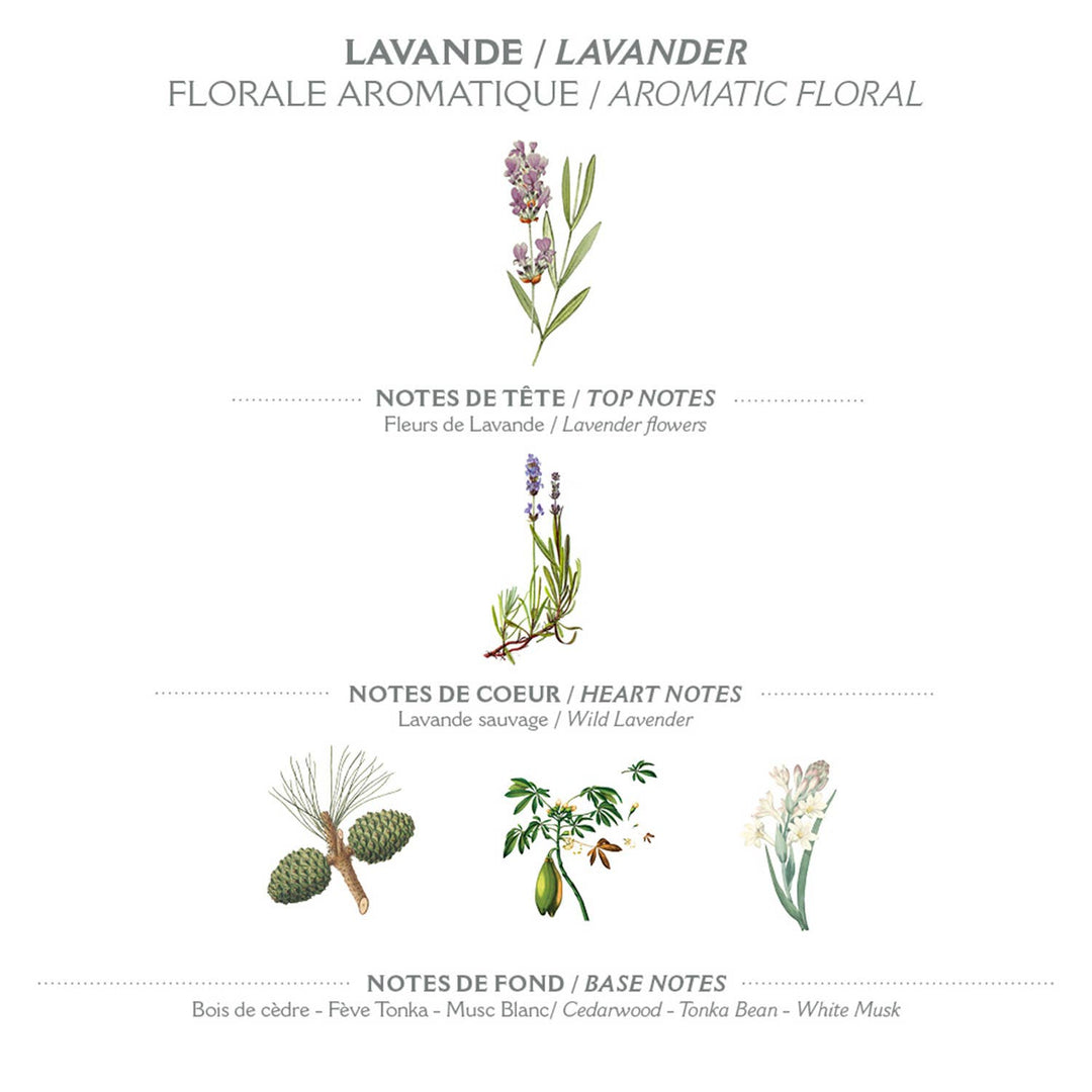 Marseille Liquid Soap 500 ml | Lavender