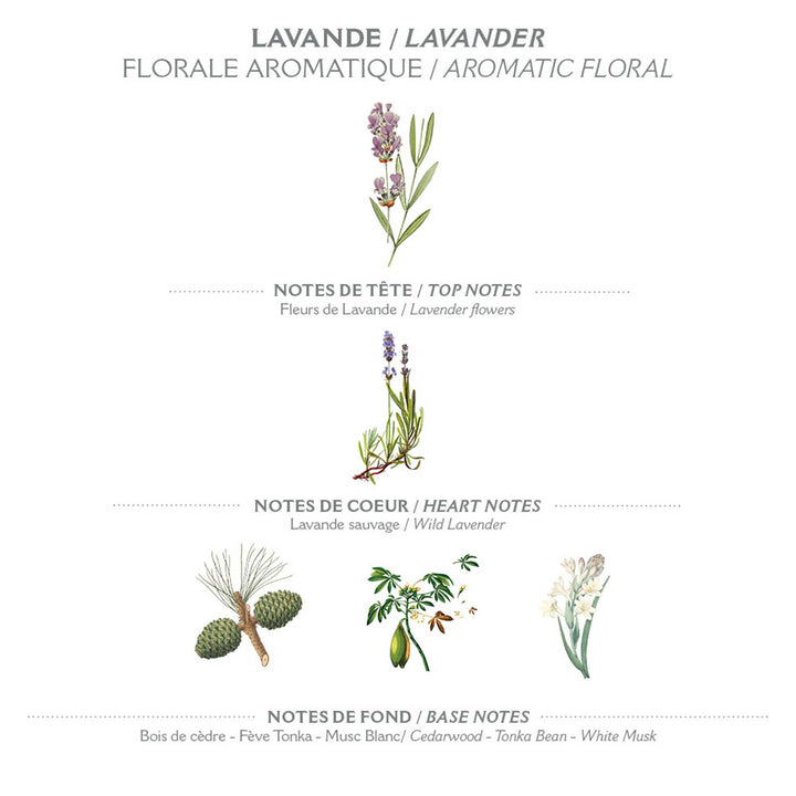Marseille Liquid Soap 500 ml | Lavender