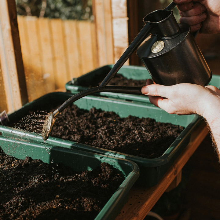 The Rowley Ripple - Svart