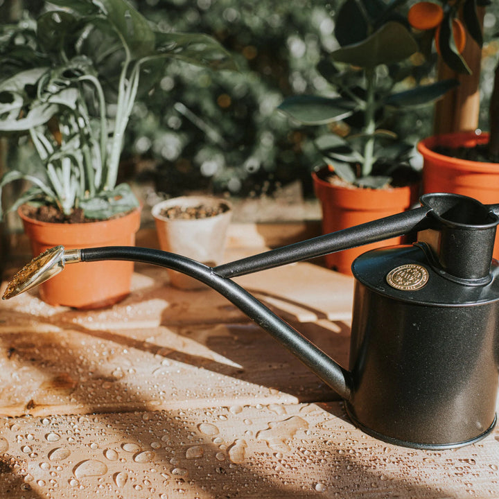 The Rowley Ripple - Svart