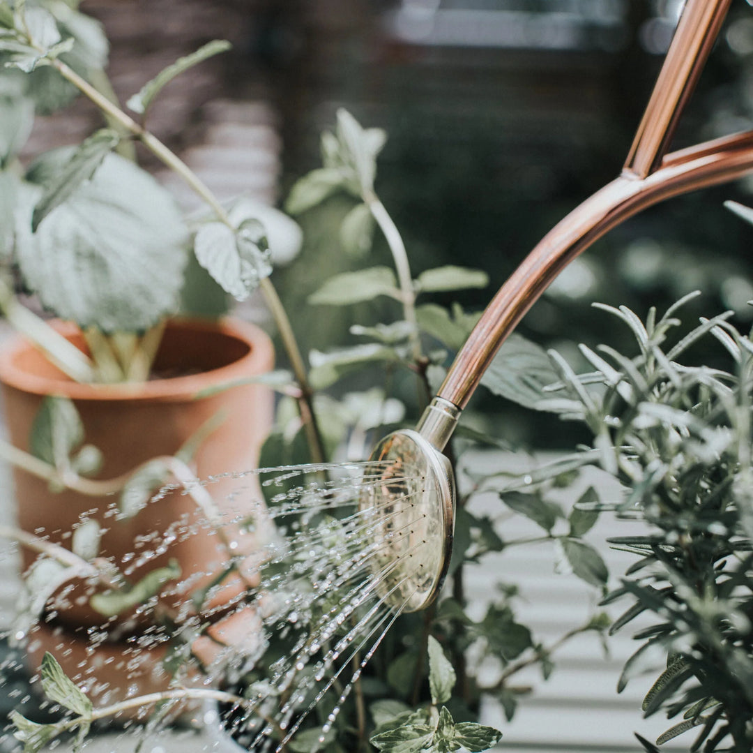 The Rowley Ripple - Kobber