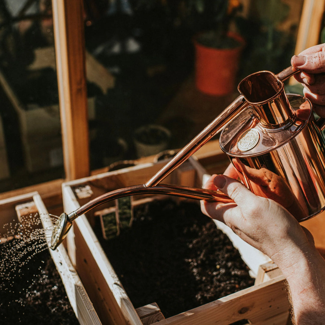 The Rowley Ripple - Kobber