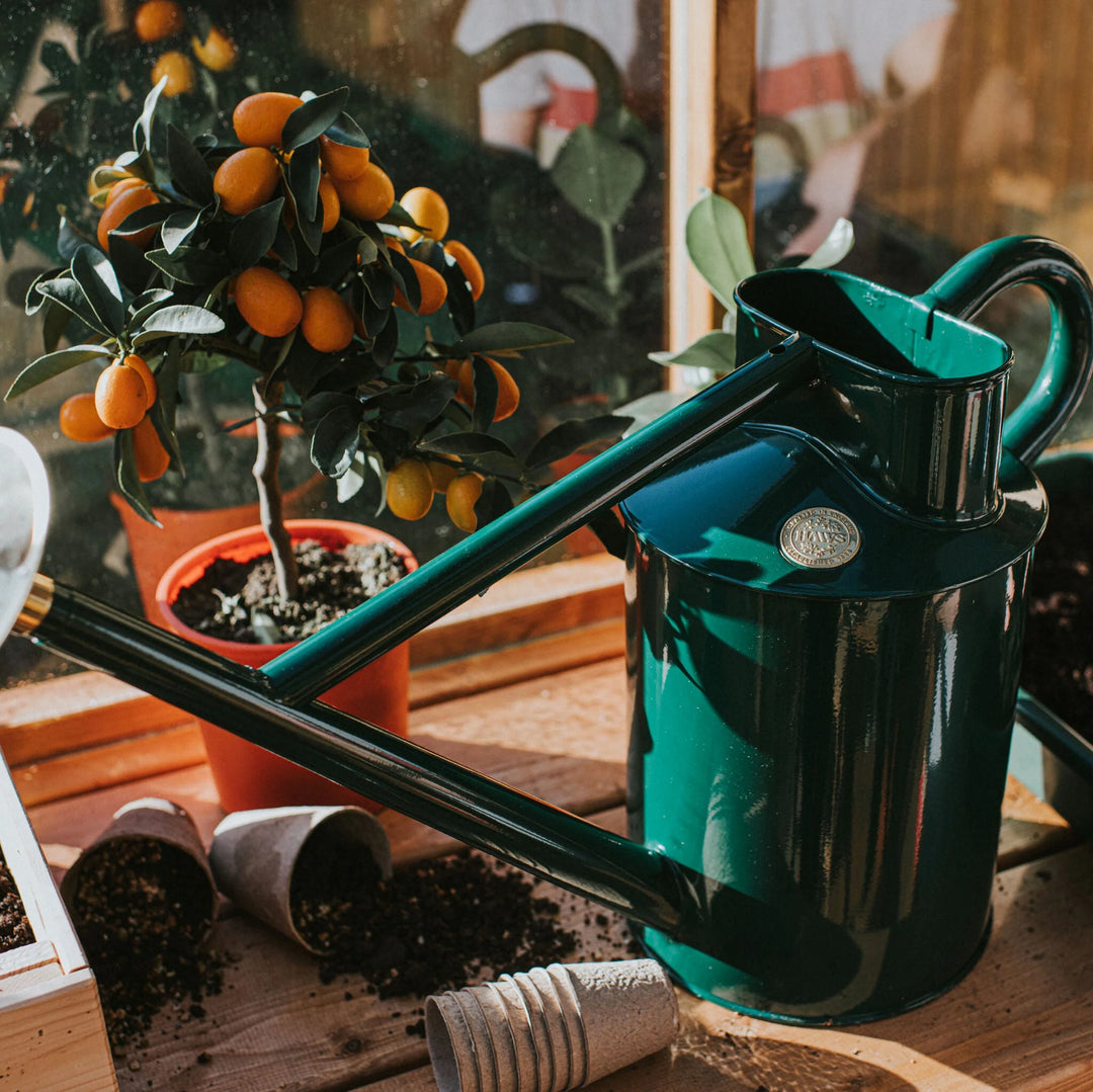 The Bearwood Brook - Grønn