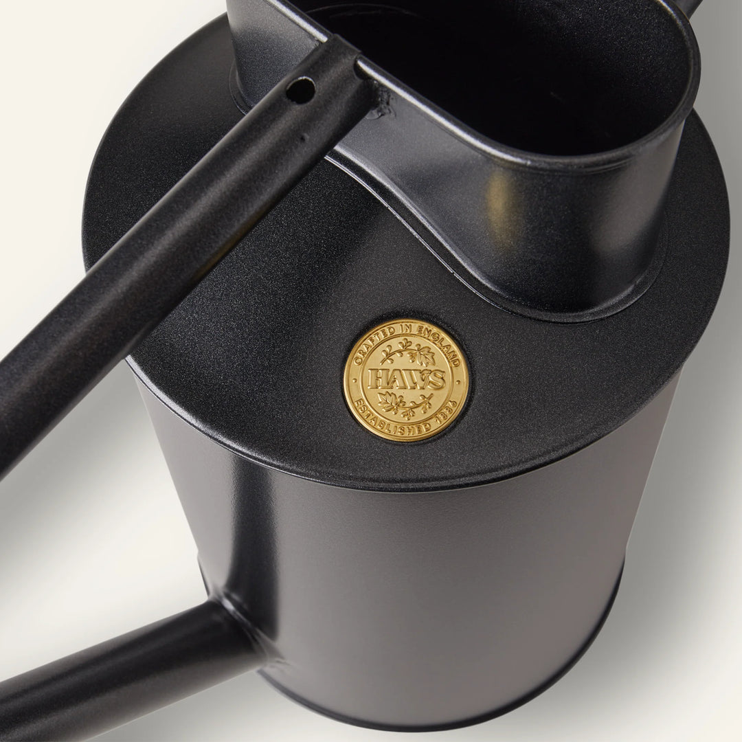 The Bearwood Brook - Svart