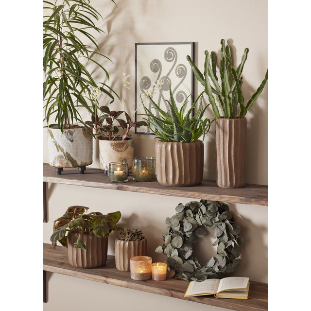 Eucalyptuskrans – preservert Ø 50 cm