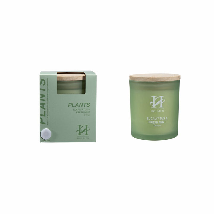Duftlys - Eucalyptus & Fresh Mint