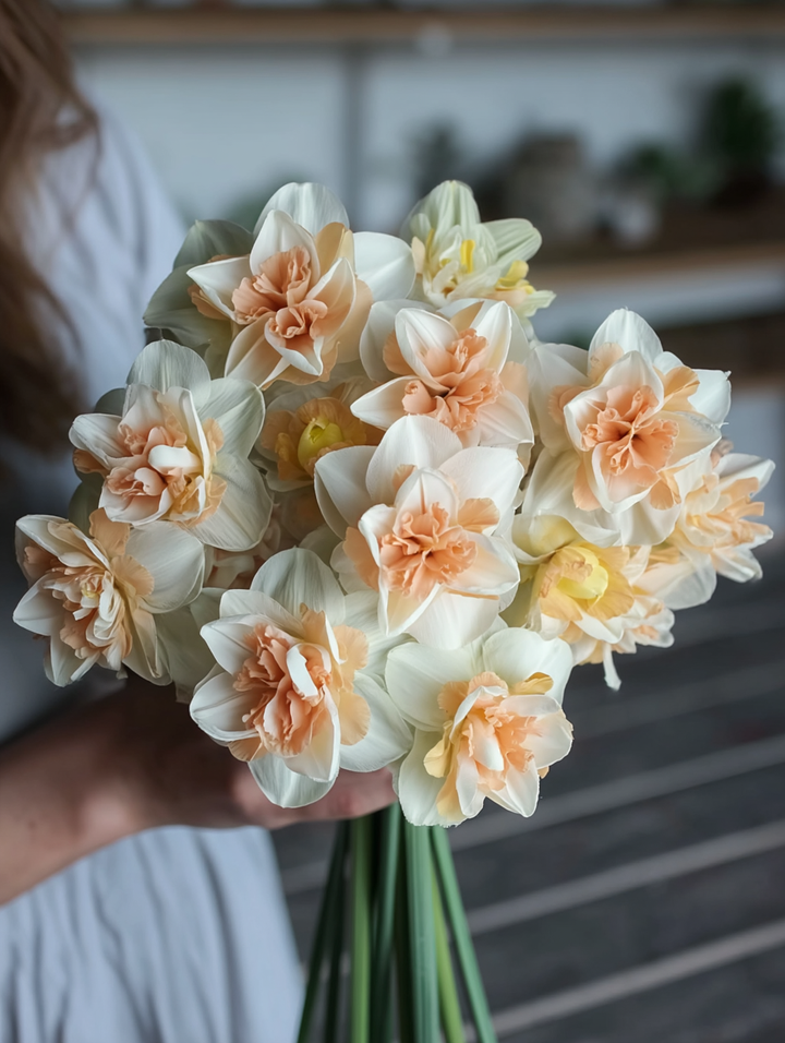 Forhåndsbestilling Påskelilje Narcissus 'Cheerfulness' – 5 blomsterløk (Kopi)