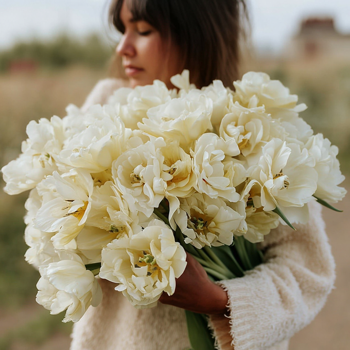 Forhåndsbestilling Tulipan 'Avant Garde' – 5 blomsterløk