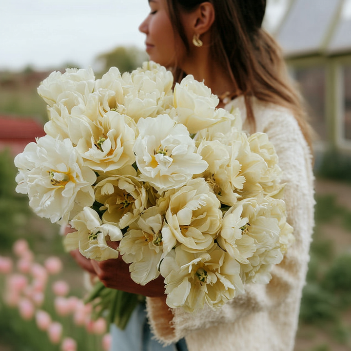 Forhåndsbestilling Tulipan 'Avant Garde' – 5 blomsterløk
