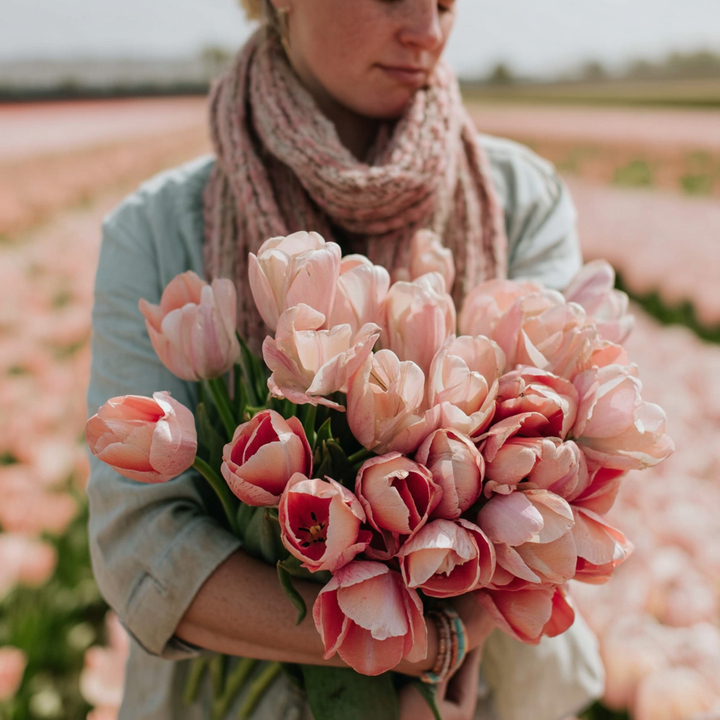 Forhåndsbestilling Tulipan 'Salmon van Eijk' – 5 blomsterløk