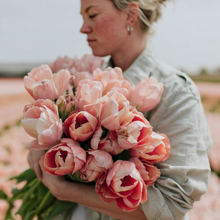 Forhåndsbestilling Tulipan 'Salmon van Eijk' – 5 blomsterløk